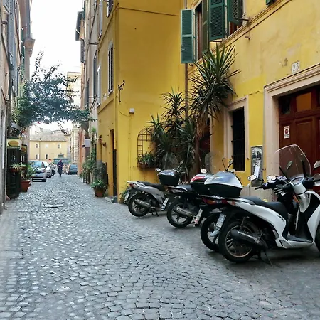 Cozy Corallo - My Extra * Rome