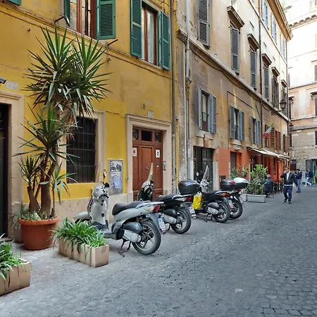 Cozy Corallo - My Extra Rome